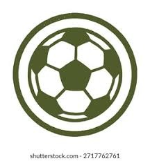 中国职业联赛财务指标：中超俱乐部单个财年支出不能超过6亿元