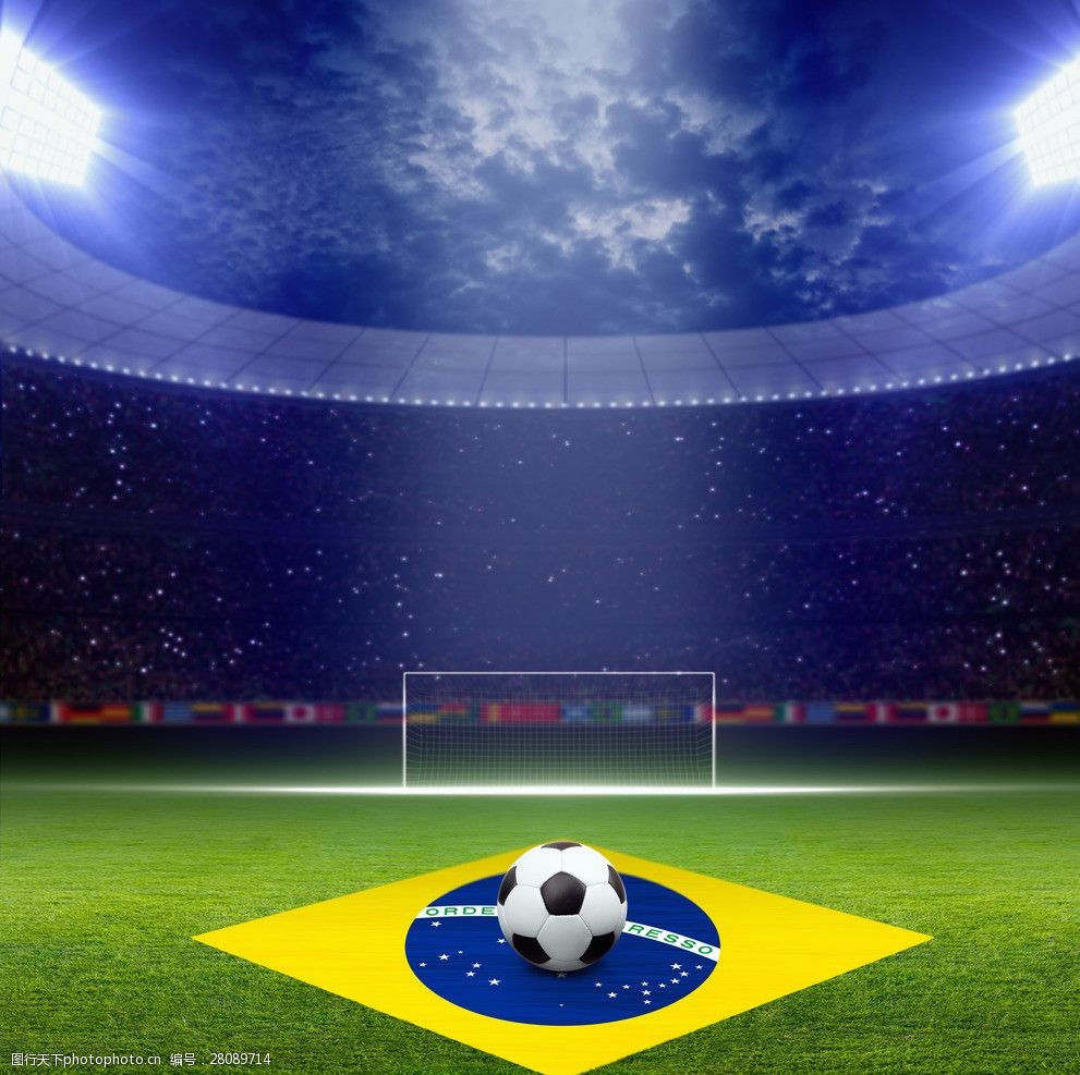 昂贵引援的 昂贵引援的